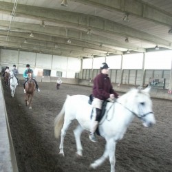 afbeelding 013 - Sportraad Zaventem 